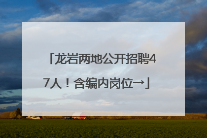 龙岩两地公开招聘47人！含编内岗位→