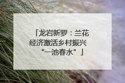 龙岩新罗：兰花经济激活乡村振兴“一池春水”