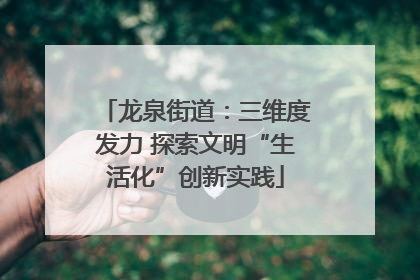 龙泉街道：三维度发力 探索文明“生活化”创新实践