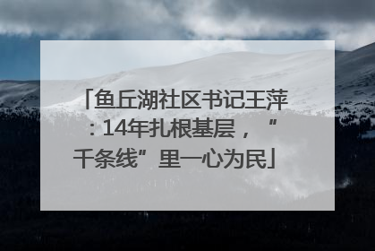 鱼丘湖社区书记王萍：14年扎根基层，“千条线”里一心为民