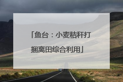 鱼台：小麦秸秆打捆离田综合利用