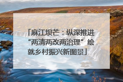 麻江坝芒：纵深推进“两清两改两治理”绘就乡村振兴新图景
