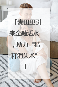 麦田里引来金融活水，助力“秸秆消失术”