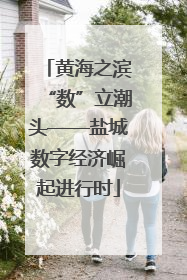 黄海之滨“数”立潮头——盐城数字经济崛起进行时