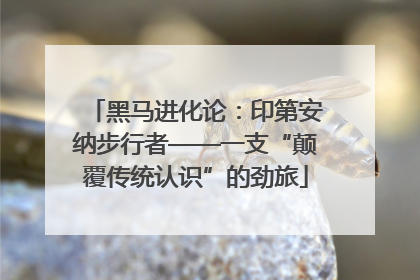 黑马进化论：印第安纳步行者——一支“颠覆传统认识”的劲旅