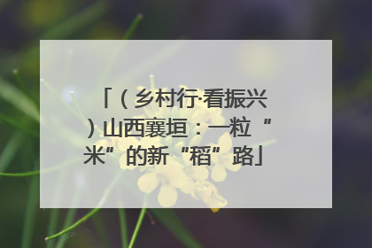 （乡村行·看振兴）山西襄垣：一粒“米”的新“稻”路