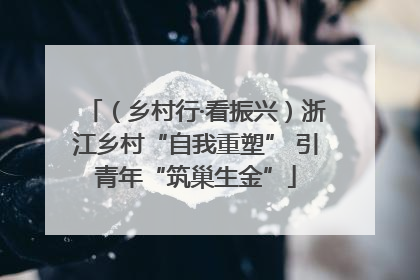 （乡村行·看振兴）浙江乡村“自我重塑” 引青年“筑巢生金”