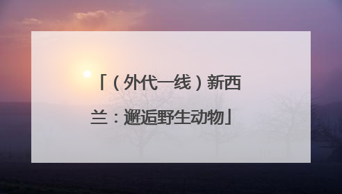 （外代一线）新西兰：邂逅野生动物