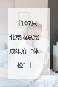 107只北京雨燕完成年度“体检”