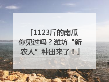 1123斤的南瓜你见过吗？潍坊“新农人”种出来了！