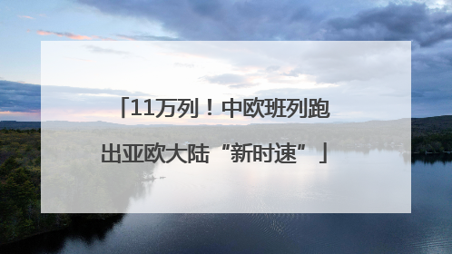 11万列！中欧班列跑出亚欧大陆“新时速”