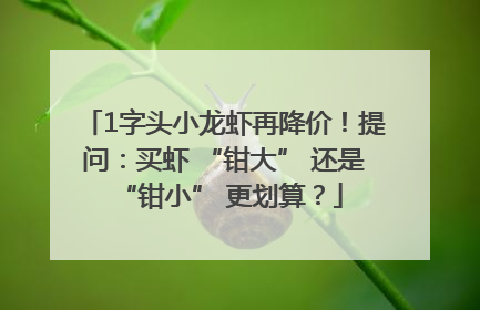 1字头小龙虾再降价！提问：买虾 “钳大” 还是 “钳小” 更划算？
