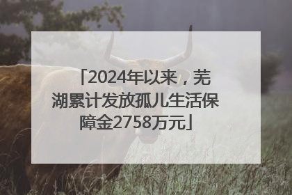 2024年以来，芜湖累计发放孤儿生活保障金2758万元