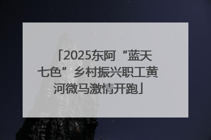 2025东阿“蓝天七色”乡村振兴职工黄河微马激情开跑