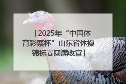 2025年“中国体育彩票杯”山东省体操锦标赛圆满收官