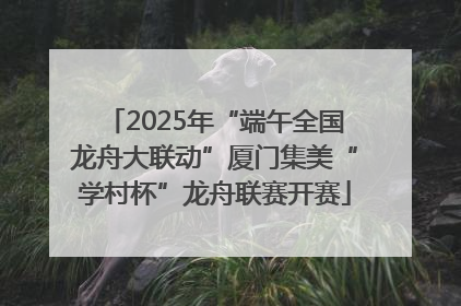 2025年“端午全国龙舟大联动”厦门集美“学村杯”龙舟联赛开赛