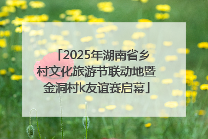 2025年湖南省乡村文化旅游节联动地暨金洞村k友谊赛启幕