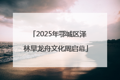 2025年鄂城区泽林旱龙舟文化周启幕