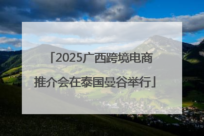 2025广西跨境电商推介会在泰国曼谷举行