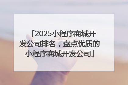 2025小程序商城开发公司排名，盘点优质的小程序商城开发公司
