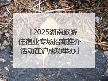 2025湖南旅游住宿业专场招商推介活动在沪成功举办