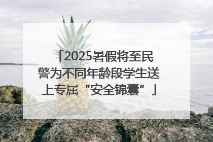 2025暑假将至民警为不同年龄段学生送上专属“安全锦囊”