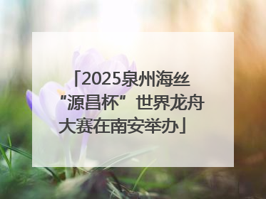 2025泉州海丝“源昌杯”世界龙舟大赛在南安举办