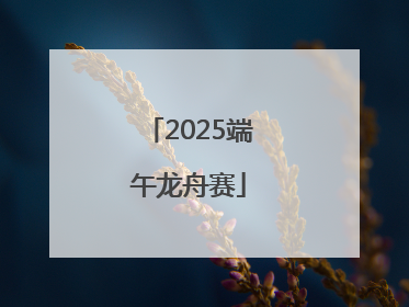 2025端午龙舟赛
