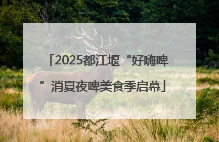 2025都江堰“好嗨啤”消夏夜啤美食季启幕