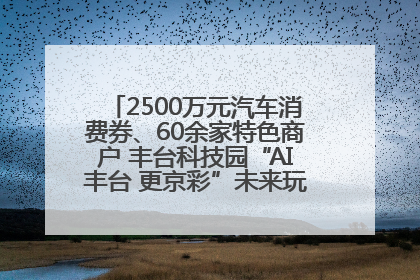 2500万元汽车消费券、60余家特色商户 丰台科技园“AI丰台 更京彩”未来玩家市集活动正式开幕