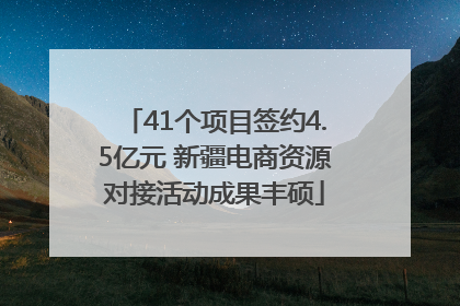 41个项目签约4.5亿元 新疆电商资源对接活动成果丰硕