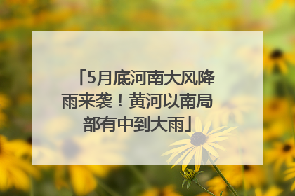 5月底河南大风降雨来袭！黄河以南局部有中到大雨