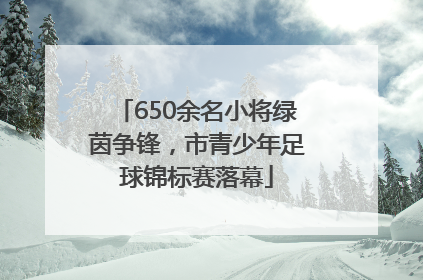 650余名小将绿茵争锋，市青少年足球锦标赛落幕