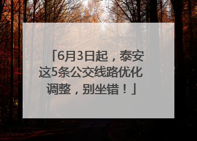 6月3日起，泰安这5条公交线路优化调整，别坐错！