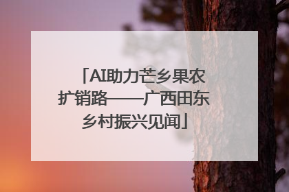 AI助力芒乡果农扩销路——广西田东乡村振兴见闻