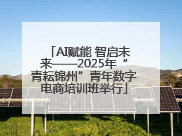 AI赋能 智启未来——2025年“青耘锦州”青年数字电商培训班举行