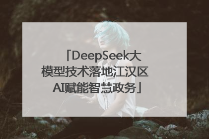 DeepSeek大模型技术落地江汉区 AI赋能智慧政务