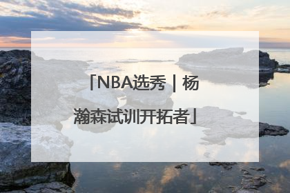 NBA选秀｜杨瀚森试训开拓者