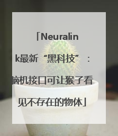 Neuralink最新“黑科技”：脑机接口可让猴子看见不存在的物体