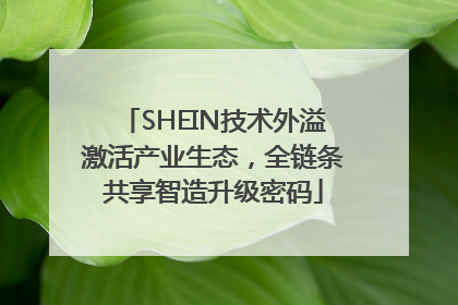 SHEIN技术外溢激活产业生态，全链条共享智造升级密码