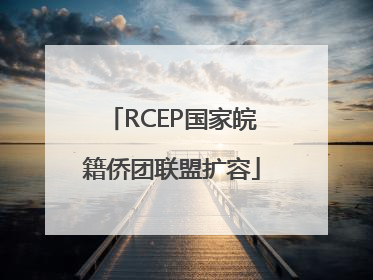 RCEP国家皖籍侨团联盟扩容